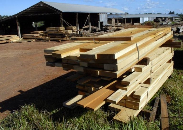 Entre Ríos: la industria de la madera se pone en marcha y reactivan el trabajo en Concordia, Federación y Chajarí
