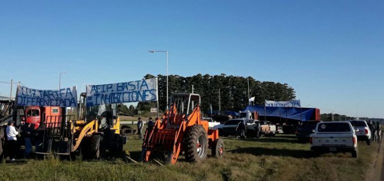 Entre Ríos: el inminente corte de la Ruta 14 en Concordia como método de protesta de 70 aserraderos que piden ayuda frente a la crisis quiebra al sector maderero de la región