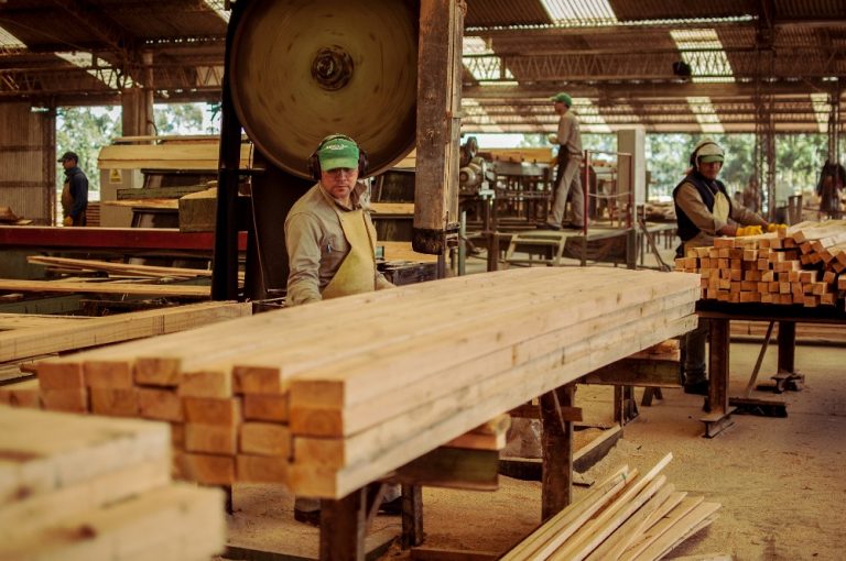 Madera aserrada húmeda es la principal producción de las foresto-industrias de Corrientes