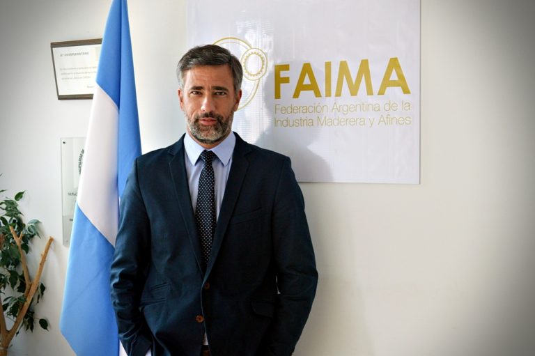 Sobreoferta de madera:“Hay varios factores que atender para salir de la crisis, uno es lograr un dólar que genere negocios de exportación, pero con un control sobre la inflación”