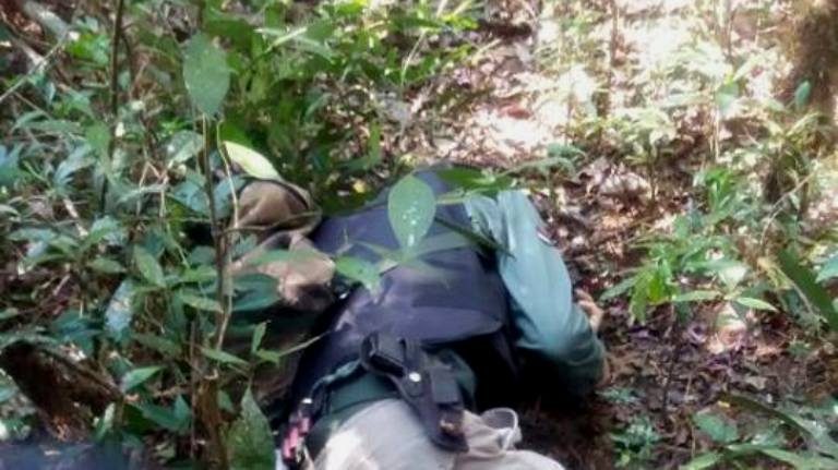 Paraguay: un guadarparque fue asesinado y otro resultó herido de gravedad tras ser sorprendidos por cazadores furtivos en una reserva privada