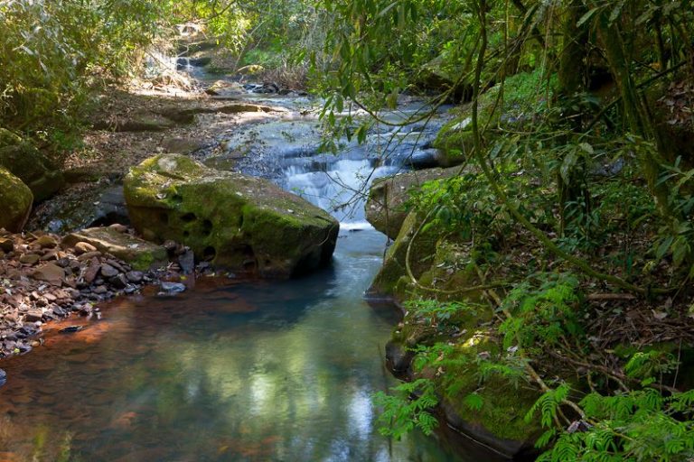 Cambio climático: el impacto en el agua