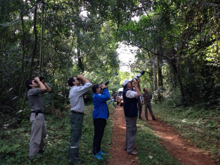 Paraguay será sede de turismo mundial de observación de aves en el 2022
