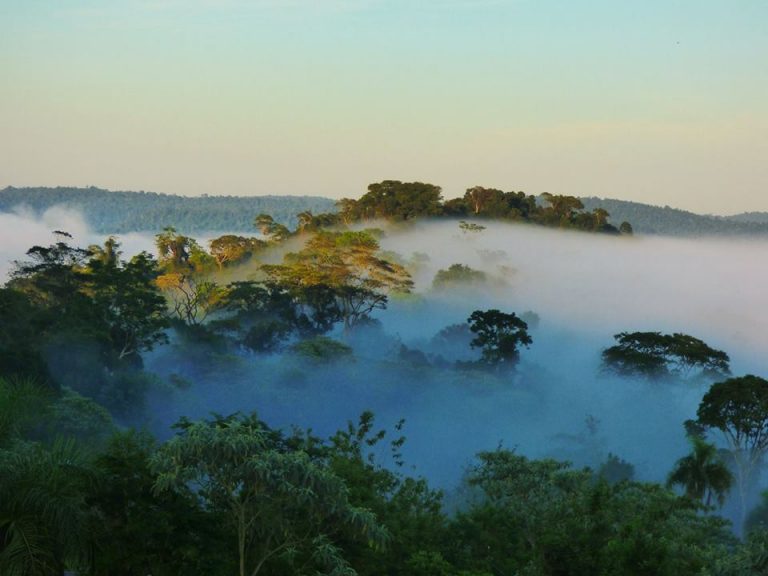 La selva misionera en campaña para ser elegida una de las 7 Maravillas Naturales Argentinas: Conocé el camino hacia los 28 lugares finalista