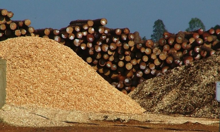 Un informe del IERAL revela que Misiones dejó de exportar algunos derivados de la forestoindustria