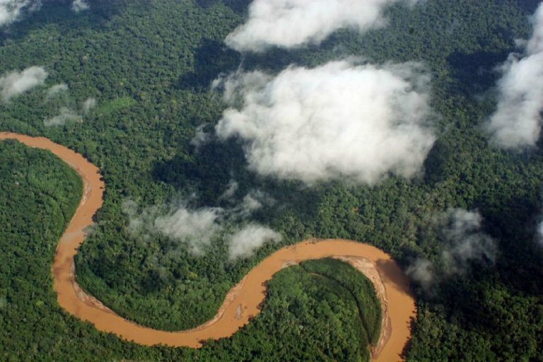 Abren convocatoria de más de $20 mil millones para proyectos indígenas en la Amazonía