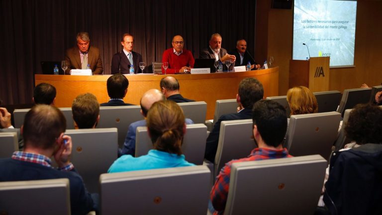 Producir más en menos superficie, el desafío de la pastera Ence para mejorar la gestión del eucalipto en España