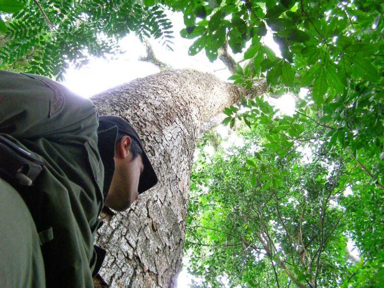 ¡Feliz día a los custodios permanentes de la biodiversidad y áreas naturales protegidas de Misiones!