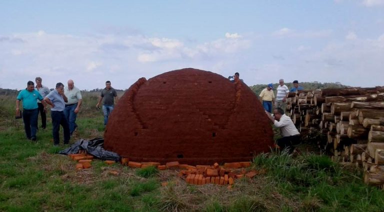 Con miras a la formación de productores, iniciaron las capacitaciones en el nuevo Centro de Referencia Tecnológica del Carbonero en Misiones