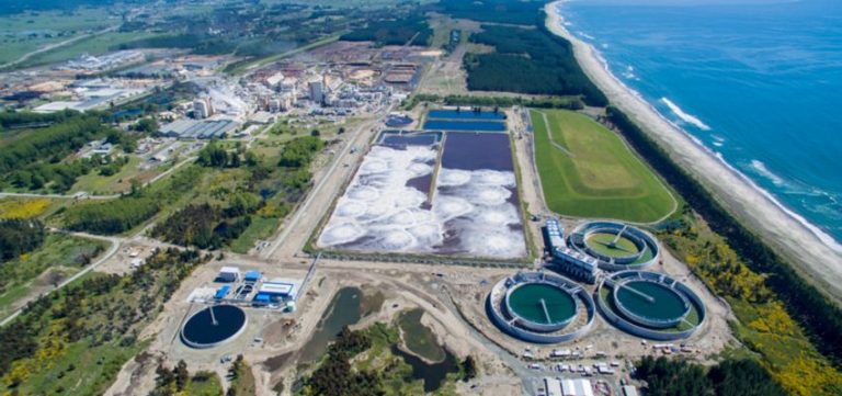 Arauco se posicionará aún más en el mercado global de celulosa con la marcha del Proyecto MAPA