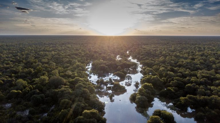 Portal Laguna Iberá extiende el área natural con la donación de CLT Argentina de otras 14.500 hectáreas