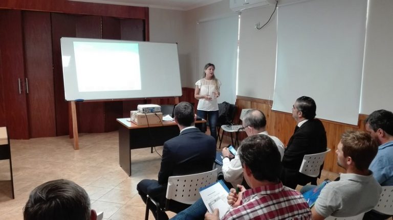 En un año, en Corrientes incrementaron de cinco a 17 empresas exportadoras de productos de base forestal