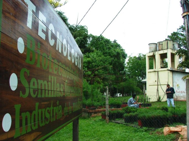 Misiones: Curso abierto y gratuito de producción de plantas nativas dictarán en Dos de Mayo