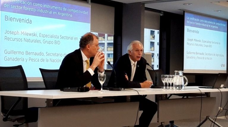BID:¿Cómo puede la sostenibilidad ser una ventaja competitiva para el sector foresto-industrial en la Argentina?