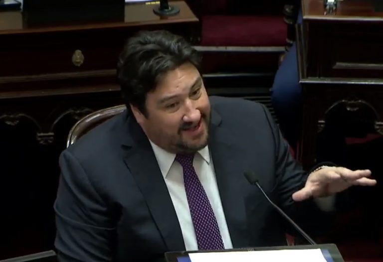 Senador Maurice Closs advirtió que los productores forestales podrían quedarse sin incentivos: «entre todos los colores políticos debemos trabajar para que no caiga la Ley 25.080”