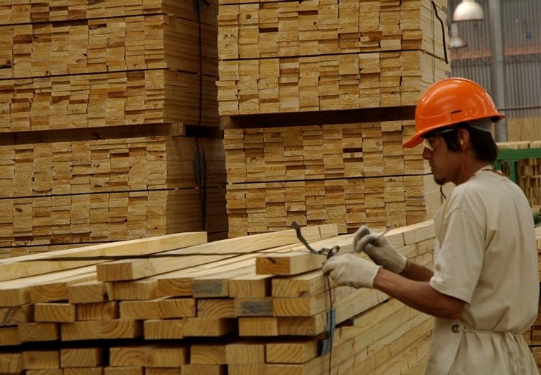 Mercado de la madera | Récord de exportaciones impulsa una leve recuperación del sector forestal en abril de 2026