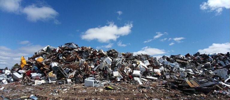 Los delitos ambientales ya son el cuarto negocio criminal del planeta