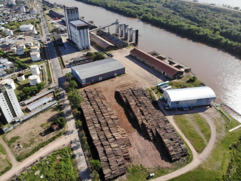 Entre Ríos retoma comercialización de madera al exterior y destinará a China rollos de pinos sin valor agregado