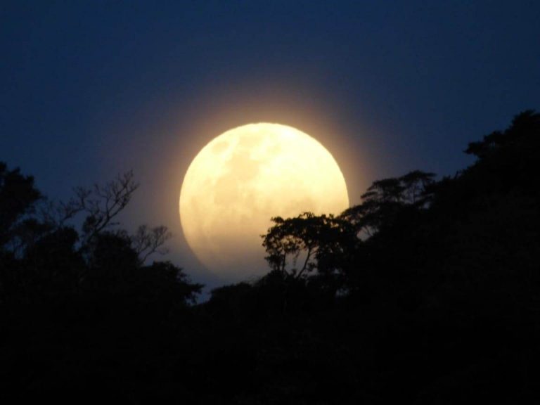 No te pierdas este fin de semana el atardecer y la puesta de luna llena sobre la selva misionera, a orillas del Río Uruguay
