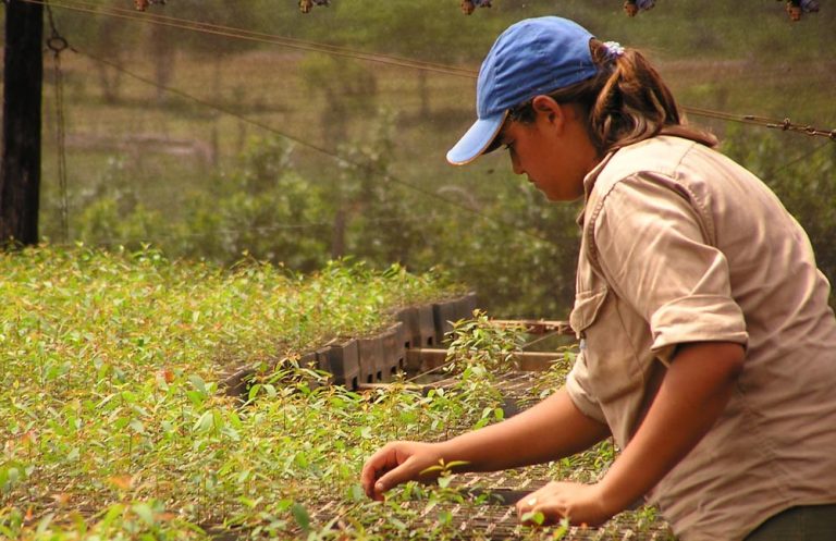 Índice de riqueza inclusiva, la medida de crecimiento moderna que se necesita y que se diferencia del PIB