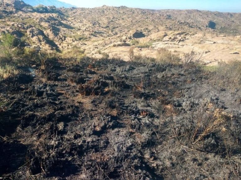 Córdoba: Un hombre habría provocado seis focos de incendio en Altas Cumbres