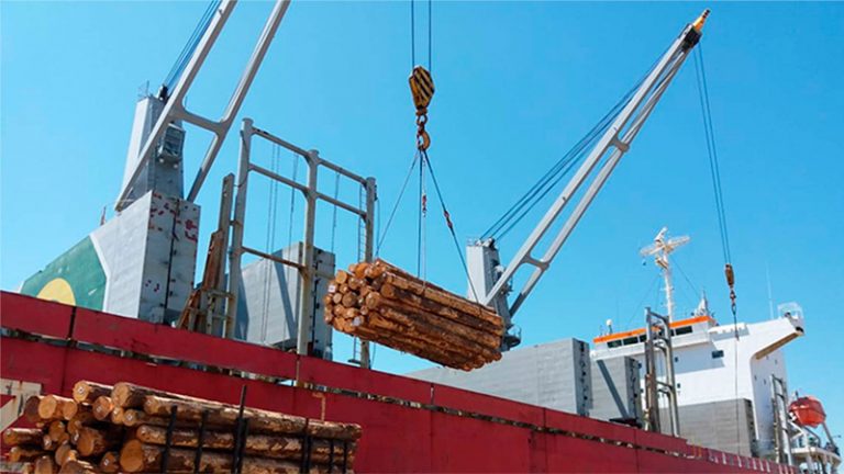Entre Ríos va por la reactivación portuaria: «genera un fuerte impulso a la industrial forestal»