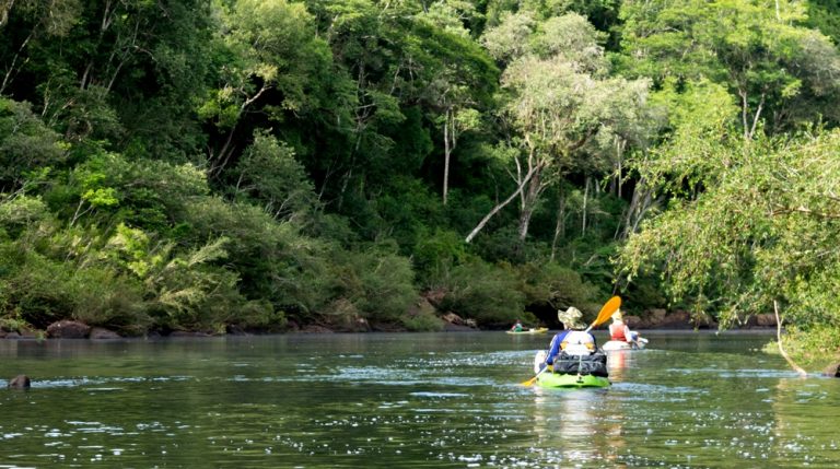 La navegación en kayak, una forma de conocer y cuidar los arroyos que resguardan la selva misionera