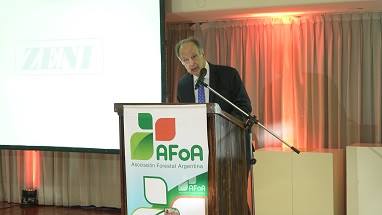 Forestadores e industriales madereros demandan el desarrollo del sector con nuevos proyectos celulósicos papeleros en el país