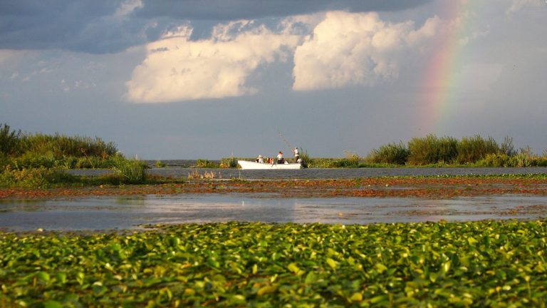 Los Esteros del Iberá ya son Parque Nacional en Corrientes, el mayor en extensión en el país