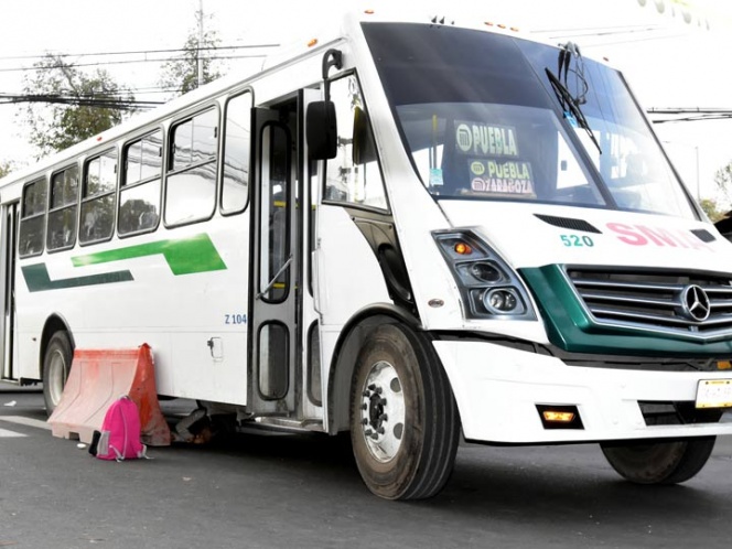 México: Transporte Público adquiere bonos de carbono forestal