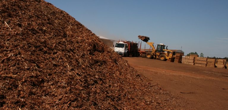 La industria de base forestal más allá de la madera y el mueble