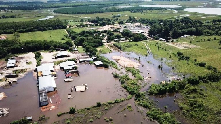 Corrientes: madereras bajo agua y plantaciones intransitables por el clima en Santa Rosa