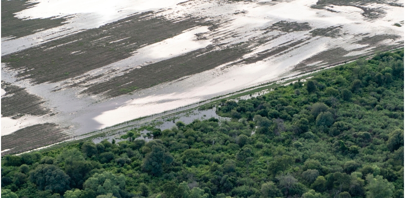 Greenpeace(desmonte Chaco2)