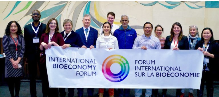 CIEFAP: investigadores argentinos comprometidos con la Agenda Global de Bioeconomía Forestal