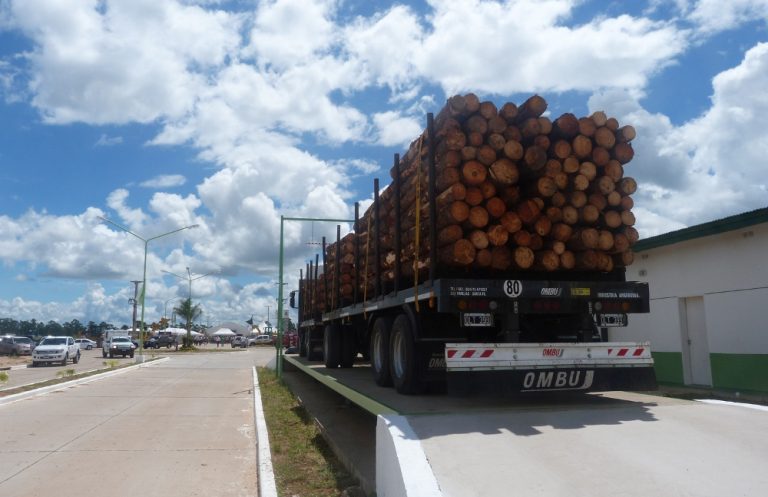 Corrientes: denuncias cruzadas entre madereros por trabajo informal, evasión y competencia desleal tras la entrevista por cierres de aserraderos en Santa Rosa