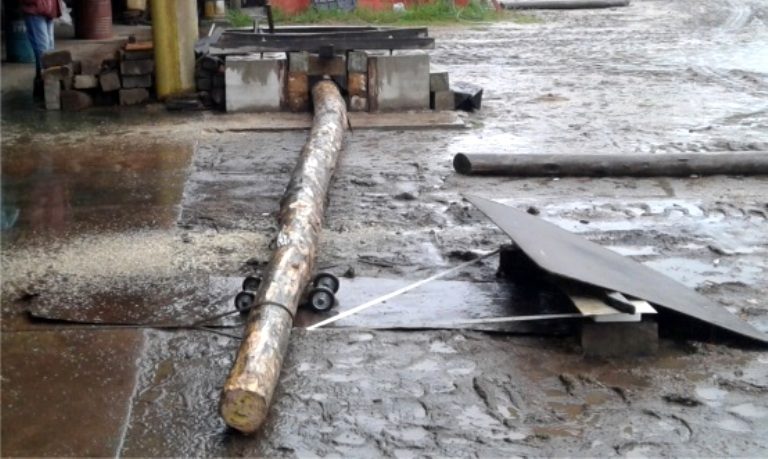 Evalúan la resistencia en postes de pino impregnado para tendido urbano y rural