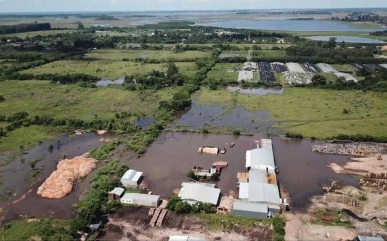 Las inundaciones afectaron a empresas foresto-industriales de la zona Centro de Corrientes y piden medidas especiales para enfrentar la crisis