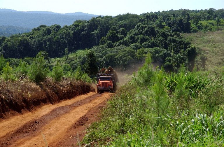 ¿Cómo impacta a las exportaciones argentinas la prohibición de las importaciones de madera a la UE que provengan de deforestación?