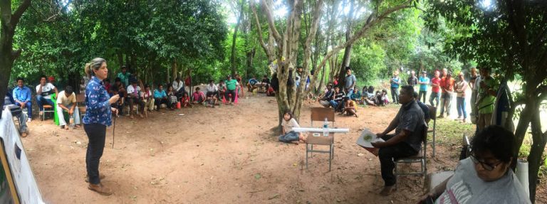 Vacantes abiertas en FAO Paraguay para especialistas en Elaboración de Proyectos y Gobernanza de Sistemas Forestales Sostenibles