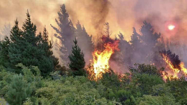 Combaten incendios forestales en Patagonia: en Epuyén ya afectaron 1350 hectáreas