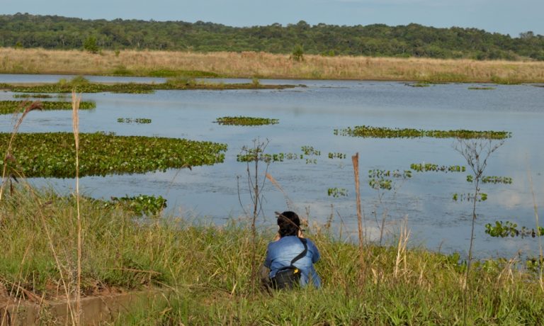 Misiones es la primera provincia del país en sancionar una la Ley de Humedales
