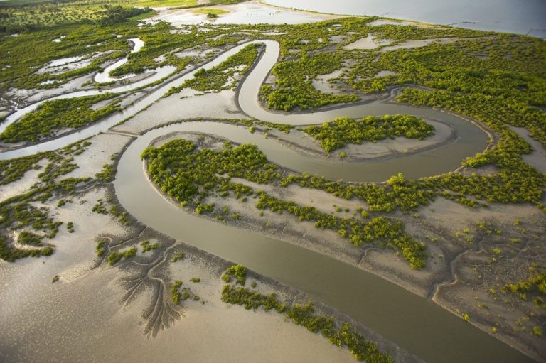 Los humedales y el Cambio Climático: un ecosistema a proteger para mitigar los efectos extremos del calentamiento global