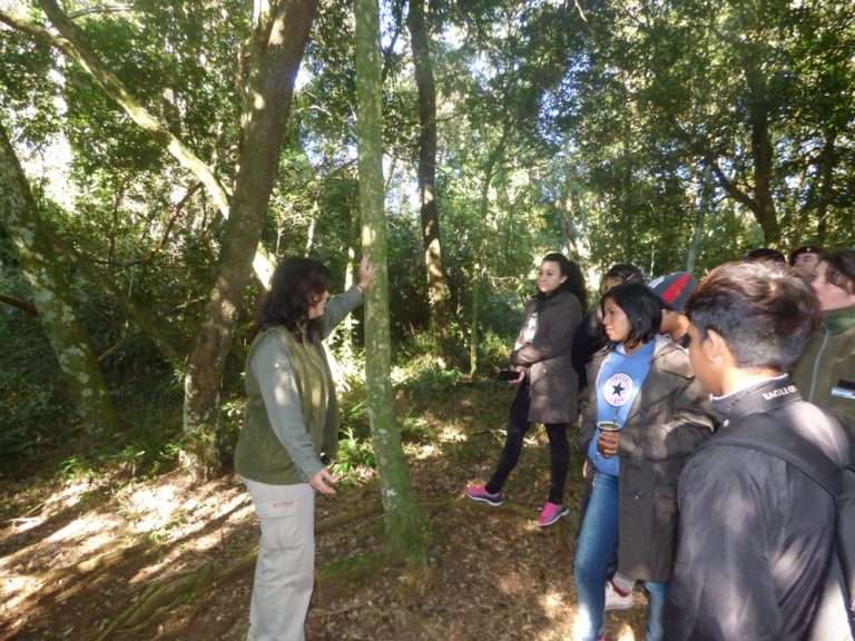 Educación forestal, inversión segura para lograr un mundo mejor