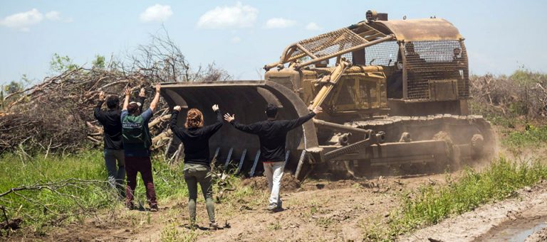 “Los desmontes profundizan la pobreza”, advierten los obispos del NOA con un duro documento en el que piden frenar con la extracción ilegal de los bosques