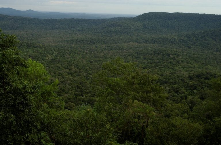 La «súper» agenda ambiental global de 2020