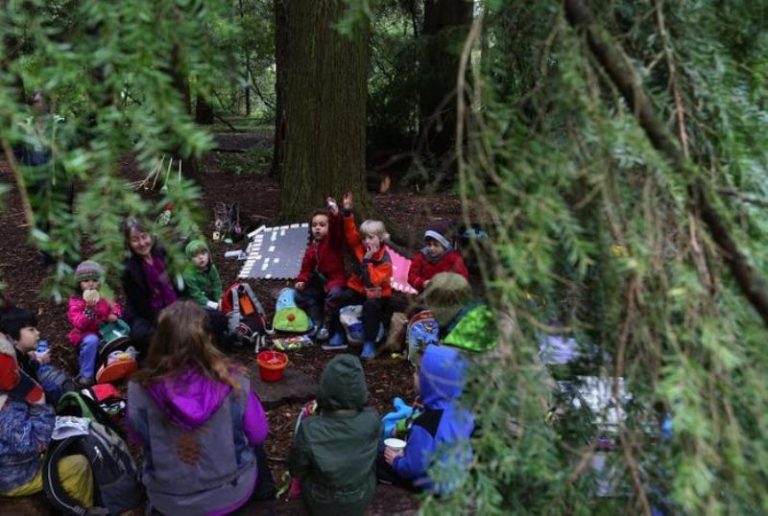 Guía de actividades para el Día Mundial de los Bosques: ¿por qué es importante la educación forestal a temprana edad?