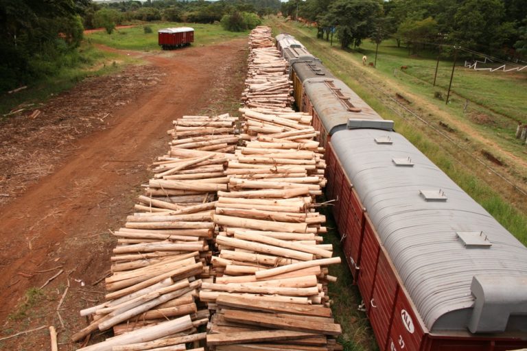 Se moviliza la logística ferroviaria de carga en la Mesopotamia para el transporte de rollos