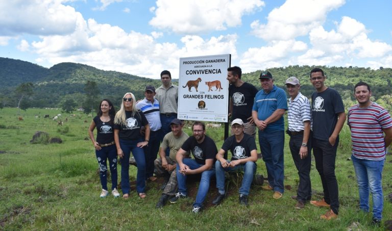 Producción y conservación: Misiones es la primera provincia del país en otorgar una certificación de producción ganadera en convivencia adecuada con el yaguareté