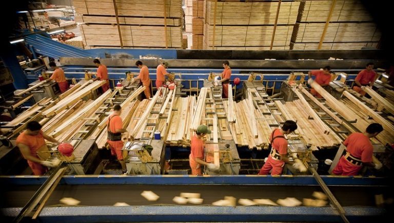 Corrientes: las exportaciones de madera incrementaron un 26% el último año