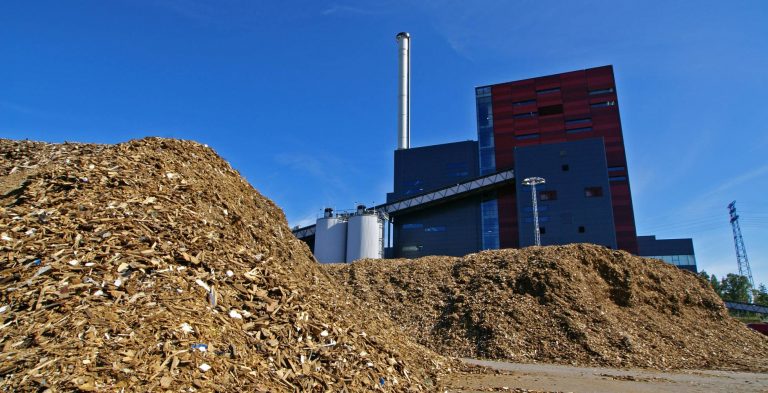 La biomasa forestal como fuente de energía primaria contribuiría de manera decisiva y federal a la solución energética